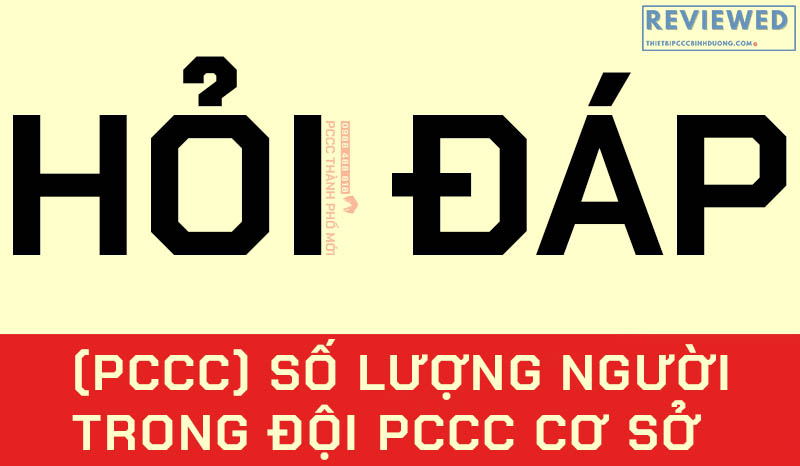 quy dinh so nguoi trong doi pccc co so